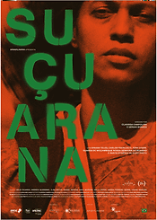 Suçuarana