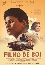 Cartaz de Filho de Boi